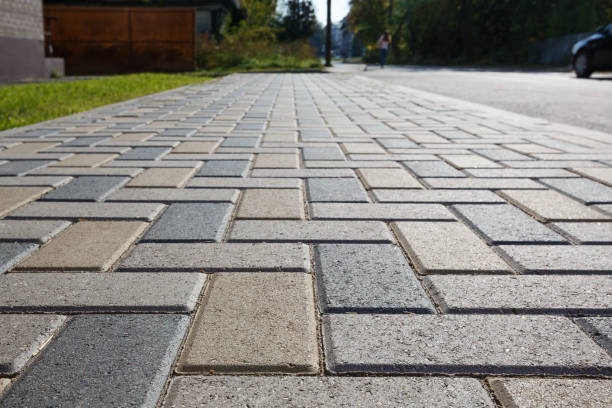 Best Local Driveway Pavers  in Frazee, MN