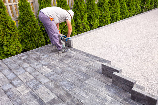 Best Professional Driveway Pavers  in Frazee, MN